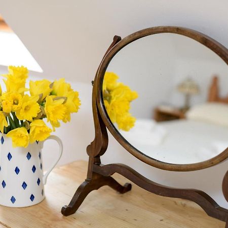 Luccombe Farm Holiday Cottages Milton Abbas Exteriör bild