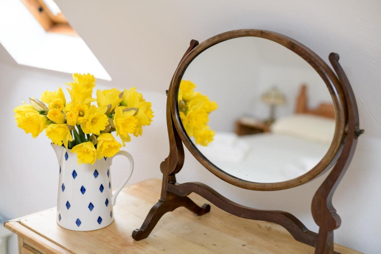 Luccombe Farm Holiday Cottages Milton Abbas Exteriör bild