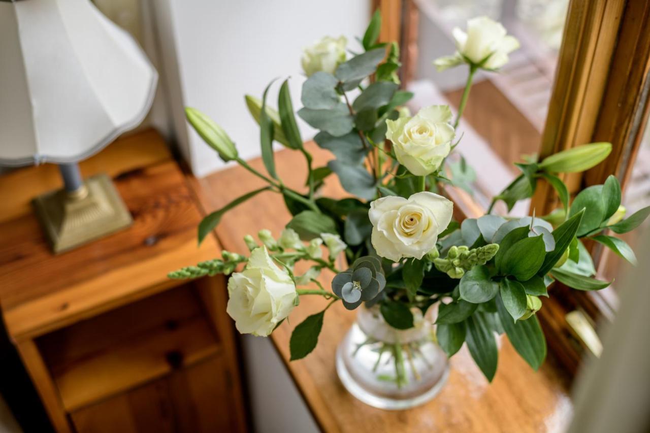 Luccombe Farm Holiday Cottages Milton Abbas Exteriör bild