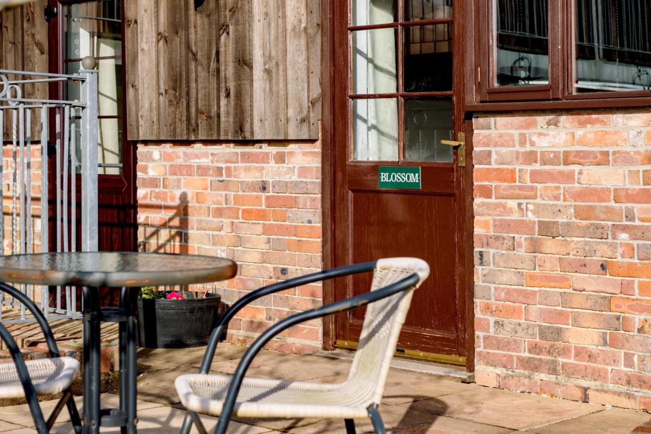 Luccombe Farm Holiday Cottages Milton Abbas Exteriör bild