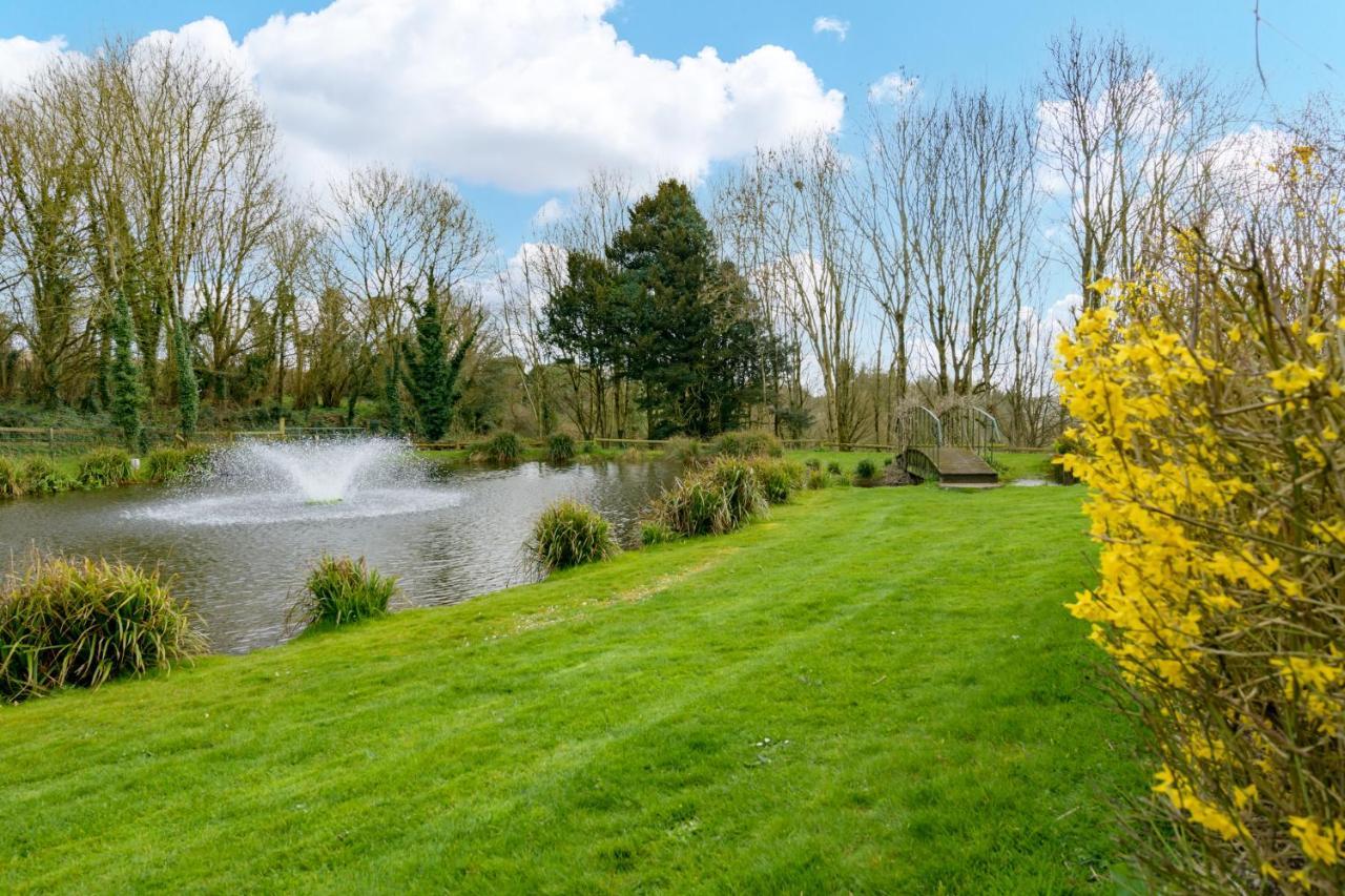 Luccombe Farm Holiday Cottages Milton Abbas Exteriör bild