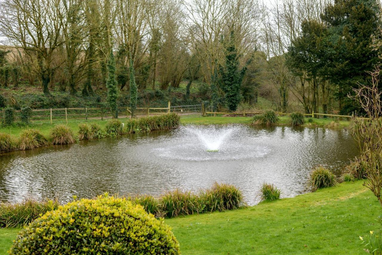 Luccombe Farm Holiday Cottages Milton Abbas Exteriör bild