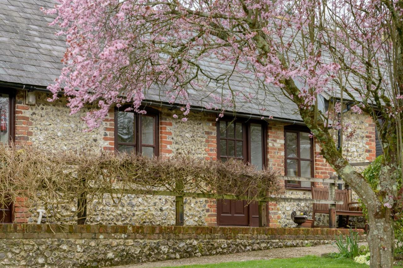 Luccombe Farm Holiday Cottages Milton Abbas Exteriör bild