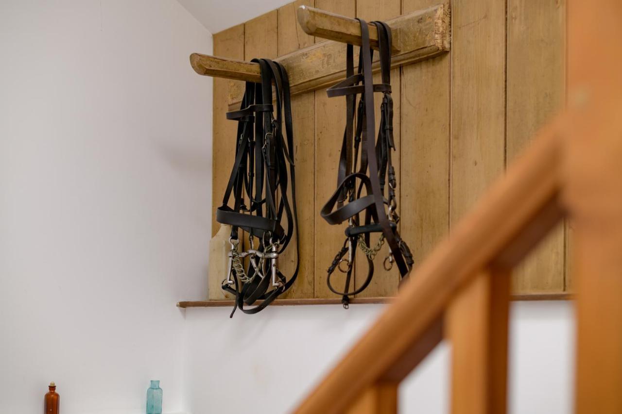 Luccombe Farm Holiday Cottages Milton Abbas Exteriör bild