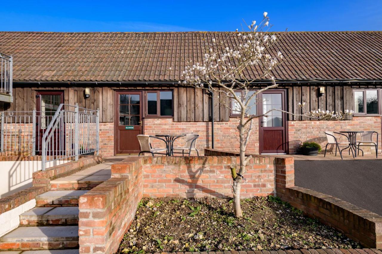 Luccombe Farm Holiday Cottages Milton Abbas Exteriör bild