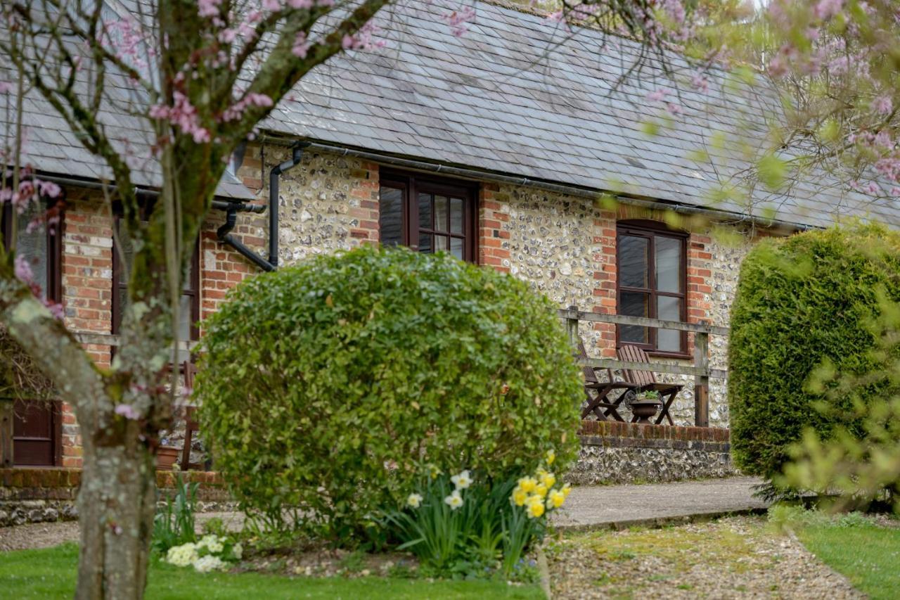 Luccombe Farm Holiday Cottages Milton Abbas Exteriör bild