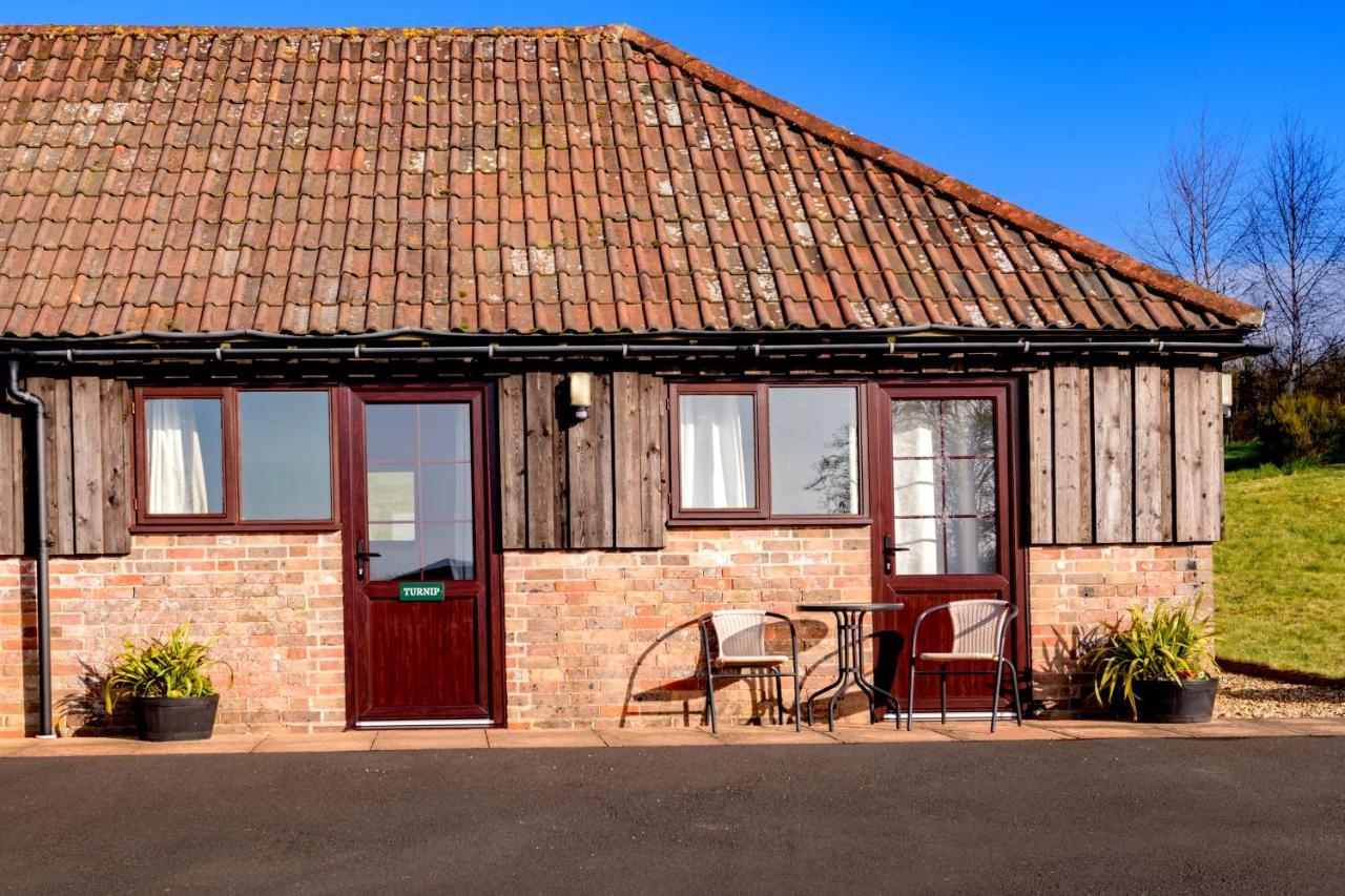 Luccombe Farm Holiday Cottages Milton Abbas Exteriör bild