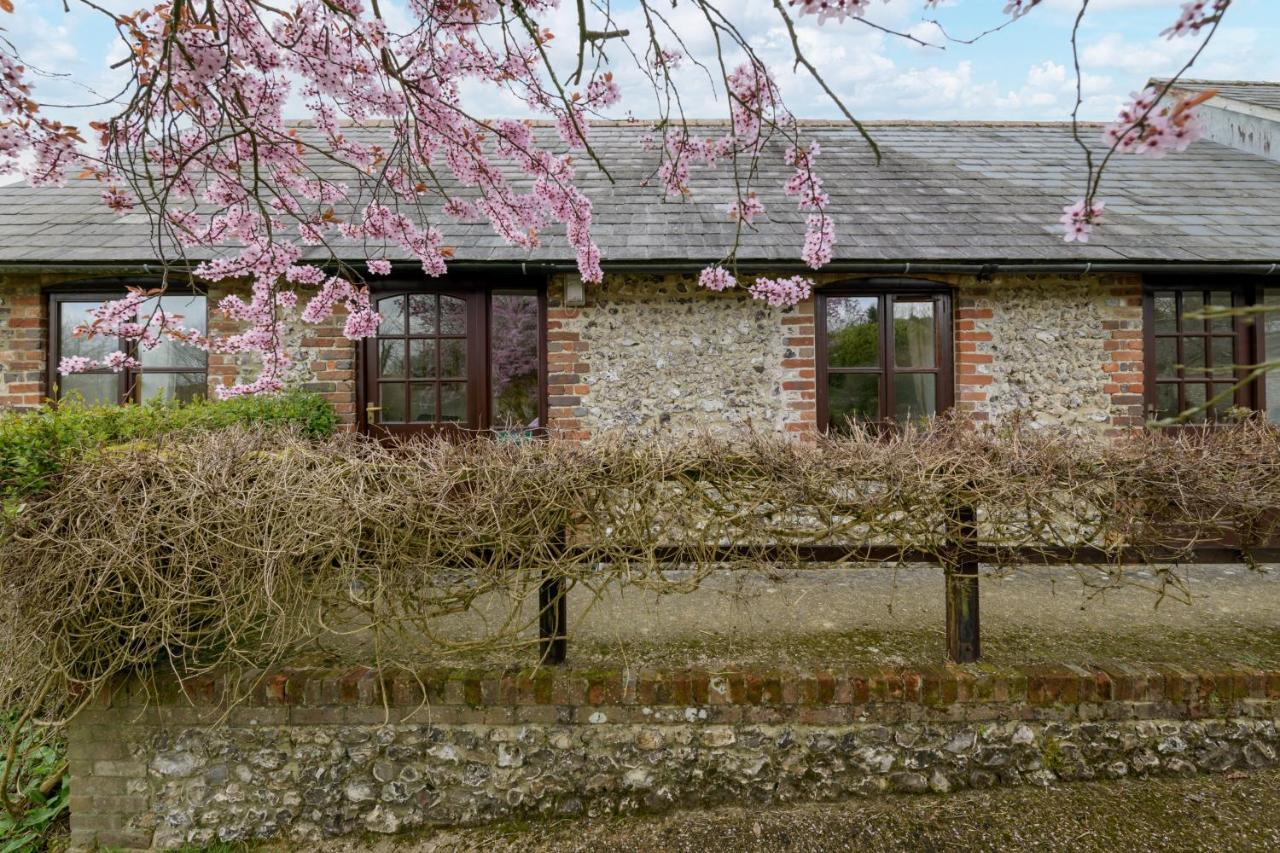 Luccombe Farm Holiday Cottages Milton Abbas Exteriör bild