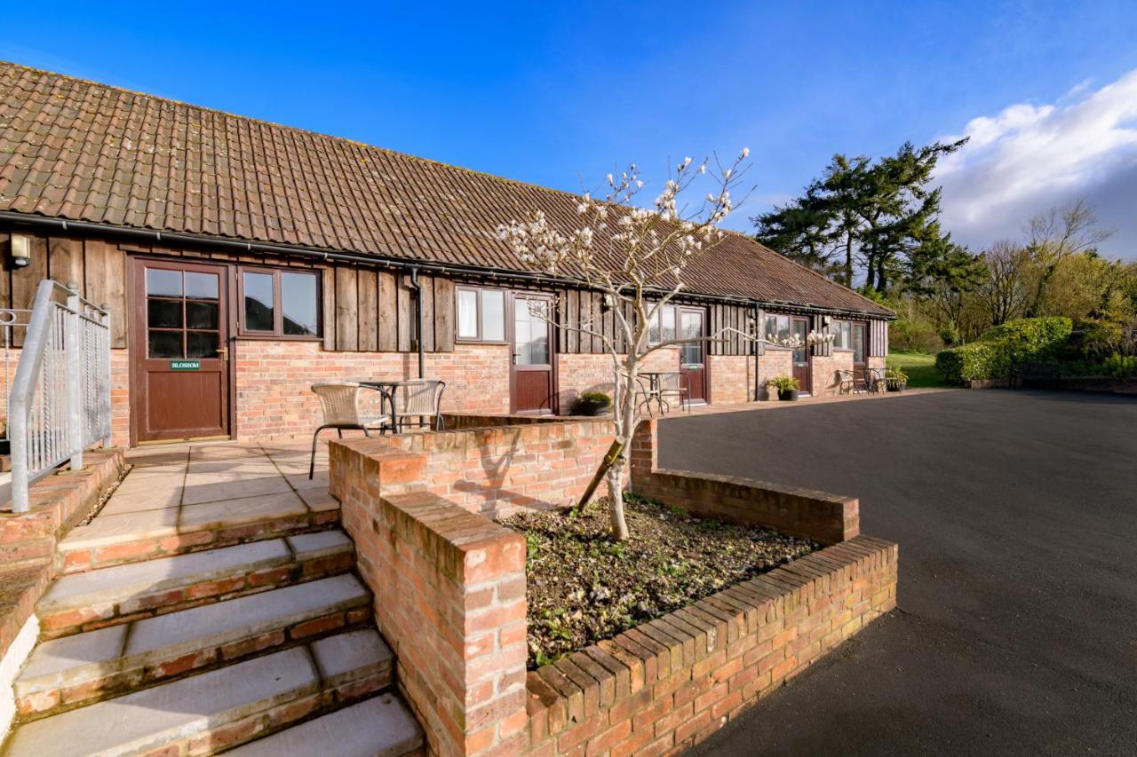 Luccombe Farm Holiday Cottages Milton Abbas Exteriör bild
