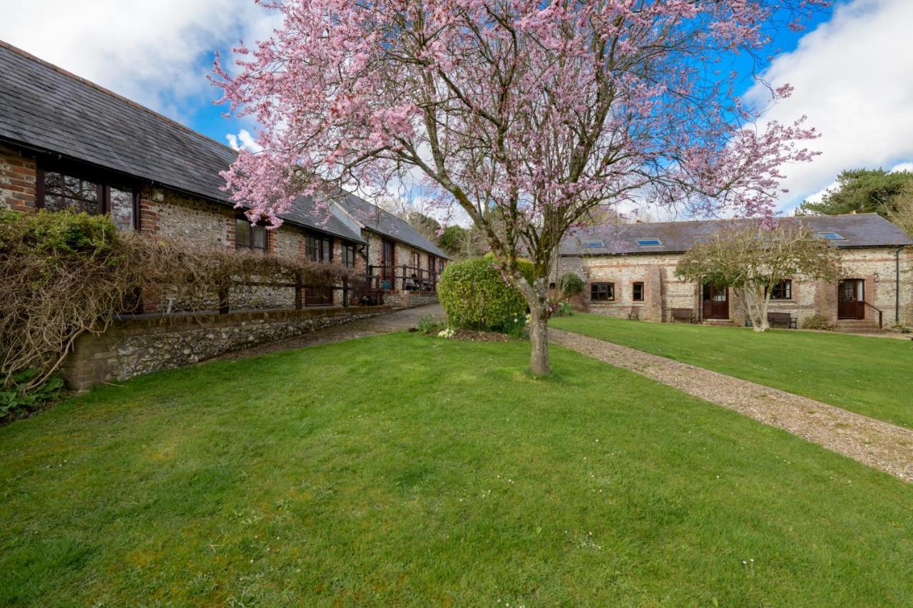 Luccombe Farm Holiday Cottages Milton Abbas Exteriör bild