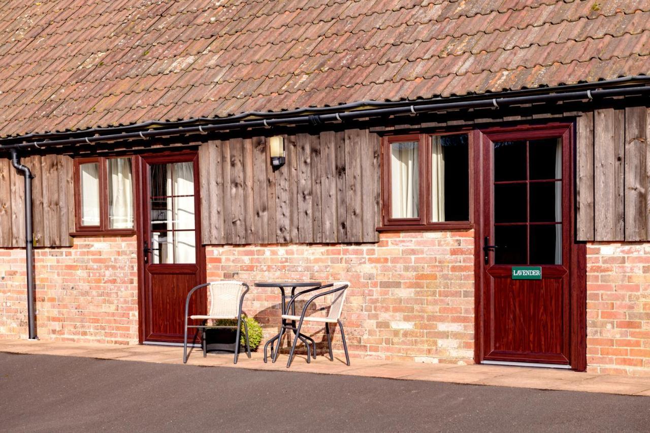 Luccombe Farm Holiday Cottages Milton Abbas Exteriör bild